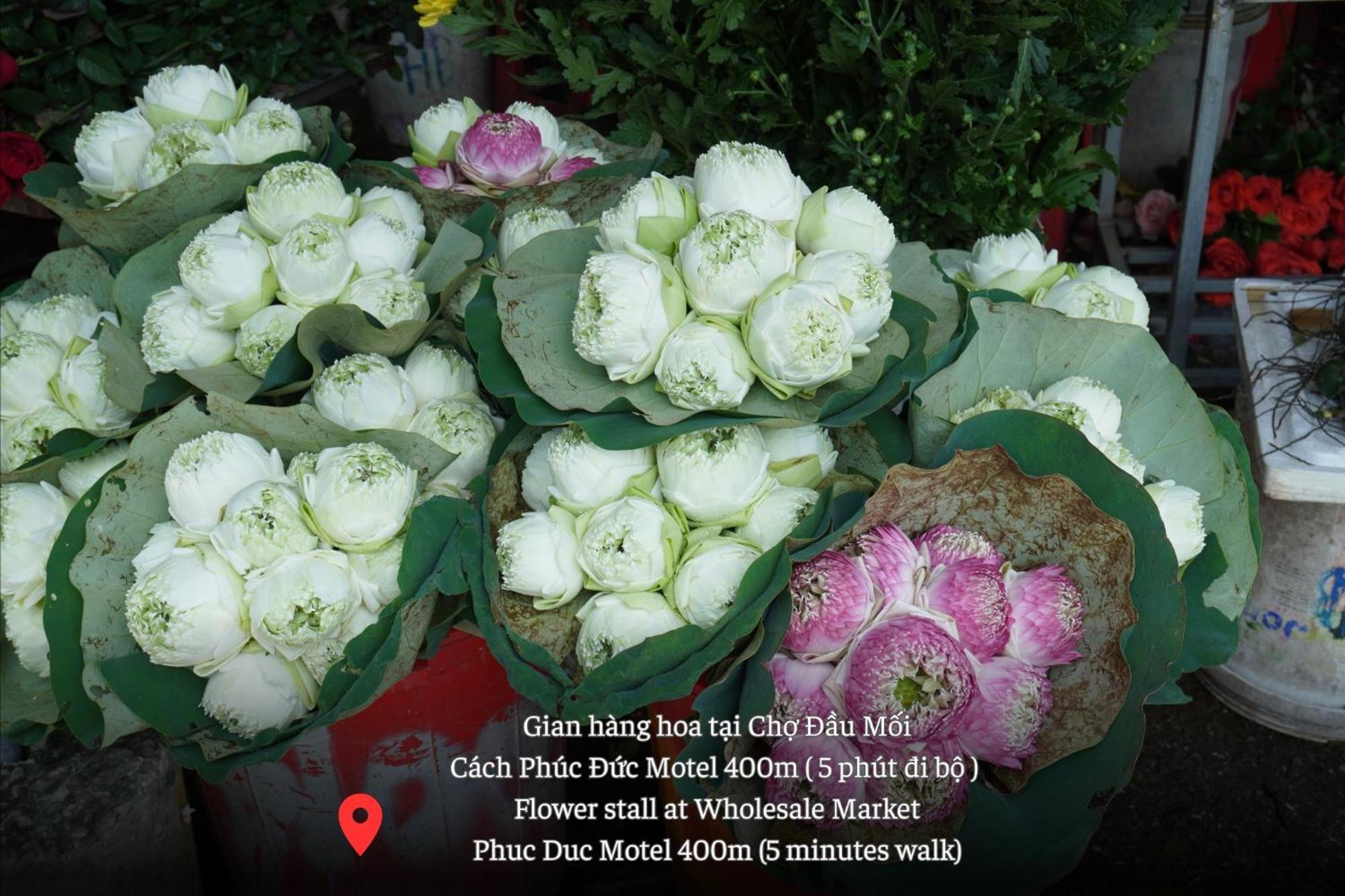 Phuc Duc Hotel Thanh Hóa Eksteriør billede
